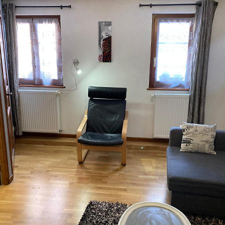 Willa La Maison Du Bonheur Zellenberg Zewnętrze zdjęcie