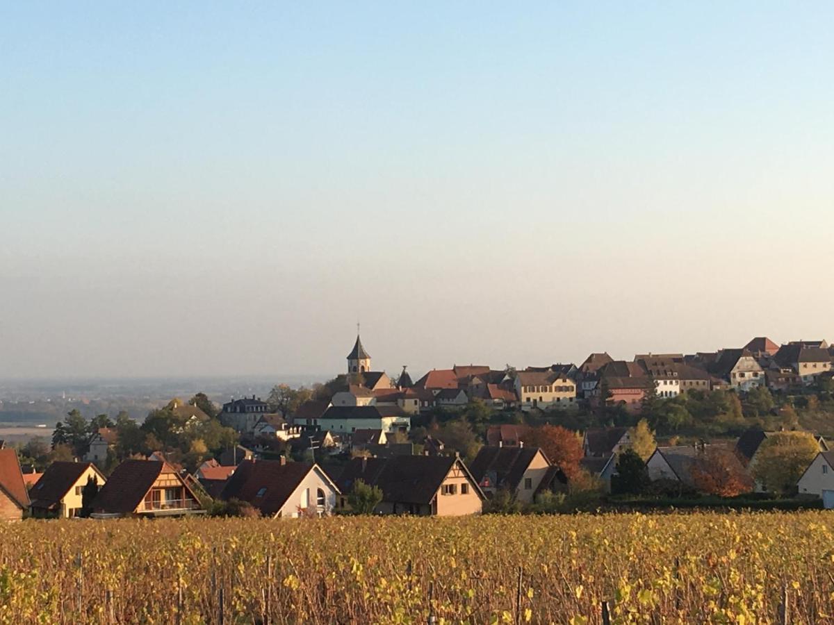 Willa La Maison Du Bonheur Zellenberg Zewnętrze zdjęcie